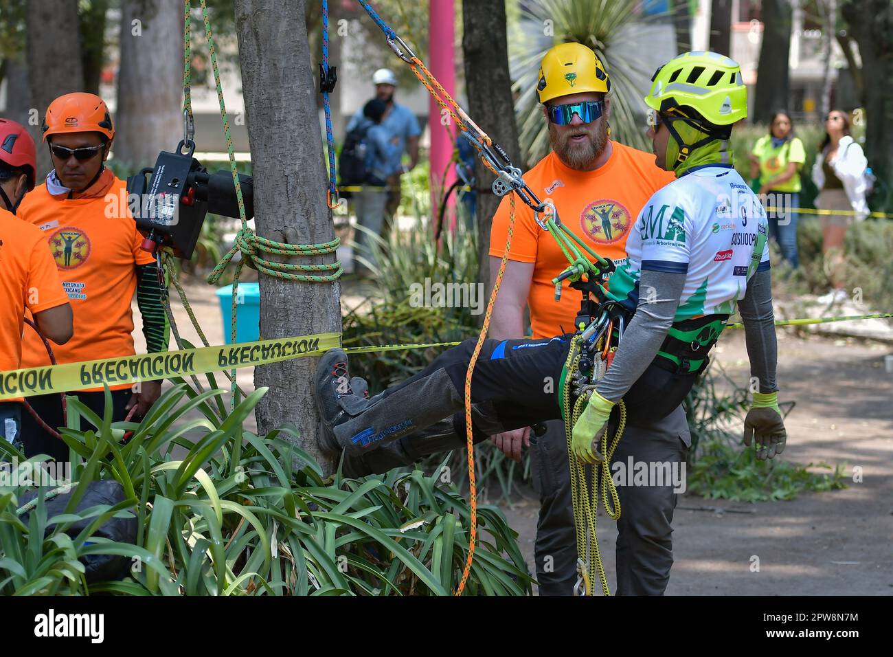 April 28,2023 Toluca Mexico : unter Beteiligung von 30 Baumklettersportlern aus Chiapas, Oaxaca, Guadalajara, Mexiko-Stadt und dem Staat Mexiko fand in Toluca City die siebte National Tree Climbing Championship statt. Die Veranstaltung ist selektiv für die Lateinamerikanische Meisterschaft, zu den Tests gehören: Aufstieg, Geschwindigkeit, Luftrettung, Baumarbeit, Schleudern und die Meisterherausforderung. Am 28. April 2023 in Toluca, Mexiko. (Foto: Arturo Hernández / Eyepix Group) Stockfoto