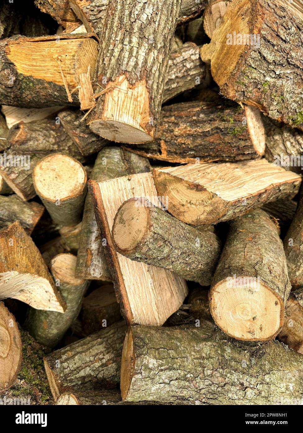 Geschnittene Holzstücke. Ein großer Haufen Brennholz. Bäume wurden geschnitten und in Brennholz geteilt, das als Brennstoff für Heizzwecke in Kamin und Öfen in verwendet werden soll Stockfoto