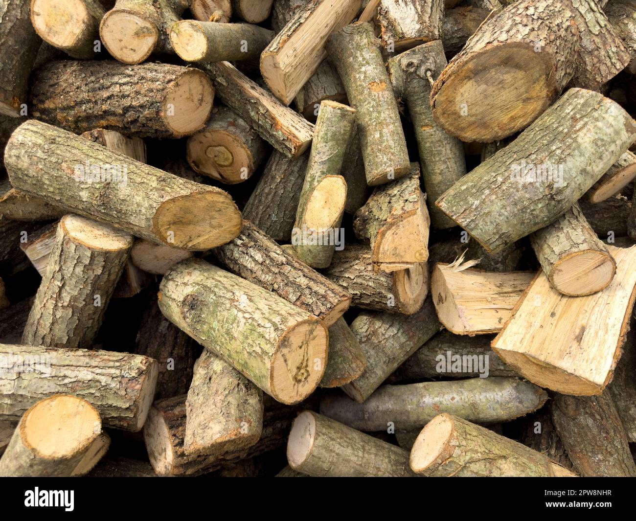 Geschnittene Holzstücke. Ein großer Haufen Brennholz. Bäume wurden geschnitten und in Brennholz geteilt, das als Brennstoff für Heizzwecke in Kamin und Öfen in verwendet werden soll Stockfoto