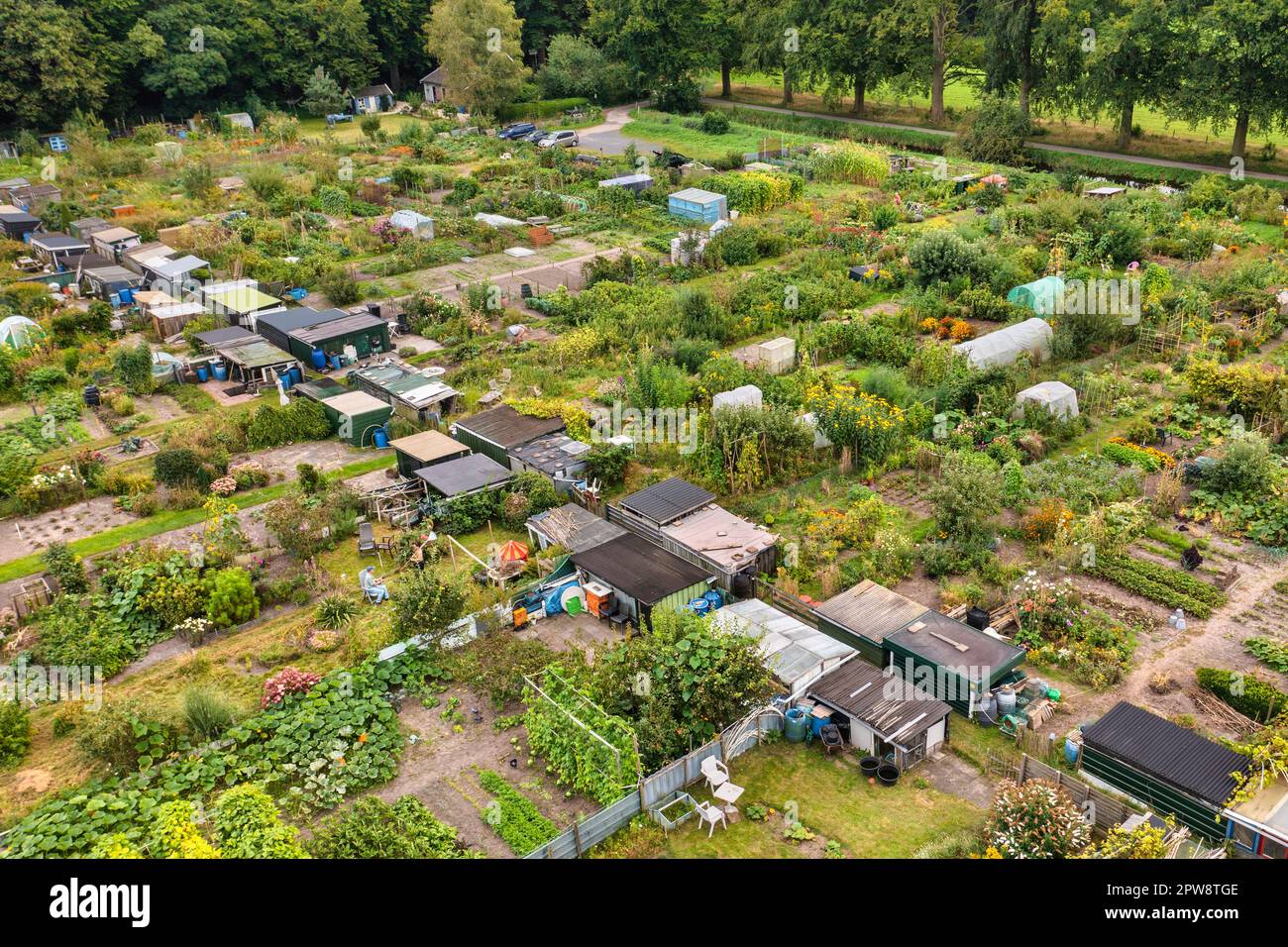Niederlande, Õs-Graveland, Allotment Gardens. Luftaufnahme. Stockfoto