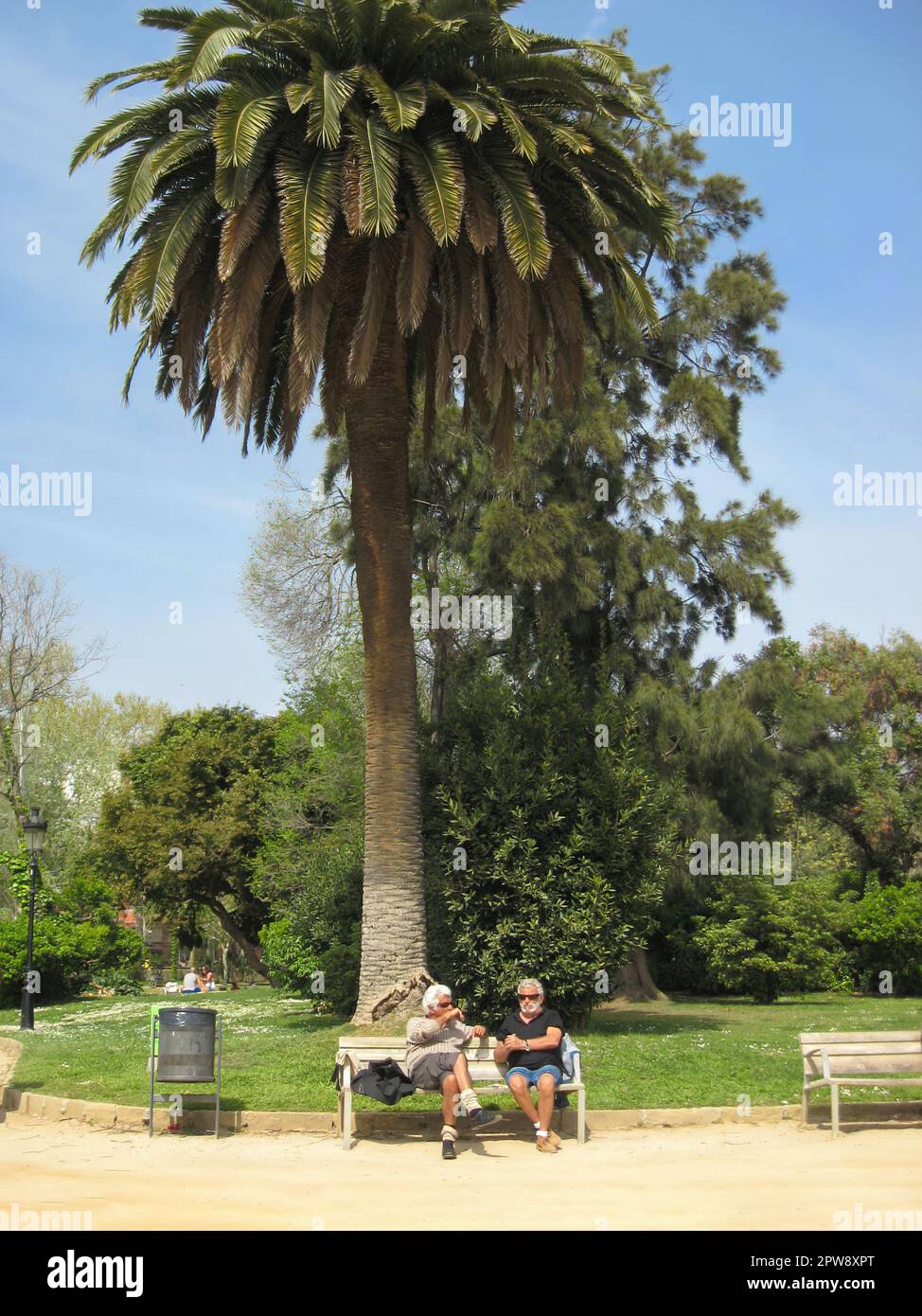 Barcelona, Spanien - 4. April 2011: Zwei grauhaarige Männer sitzen auf der Bank unter einer hohen Palme im Park und reden Stockfoto
