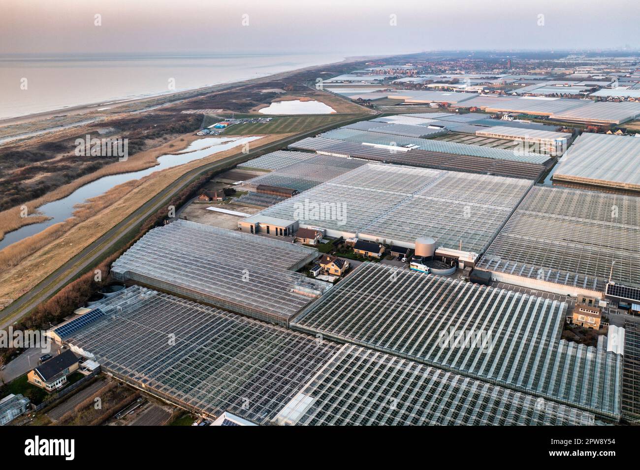 Niederlande, Õs-Gravezande, Westland. Gartenbau in Gewächshäusern. Dünen an der Nordseeküste. Luftaufnahme. Stockfoto