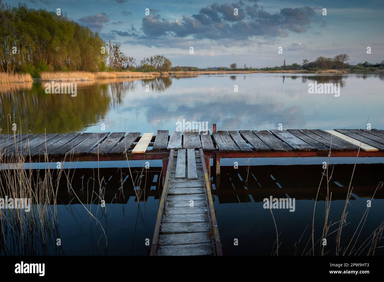 Ein Steg aus Holzplanken auf einem ruhigen See, Stankow, Ostpolen Stockfoto