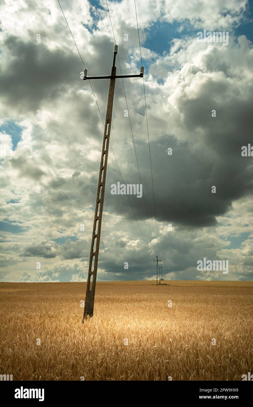 Ein korrupter Elektromast in einem Getreidefeld, Staw, Polen Stockfoto