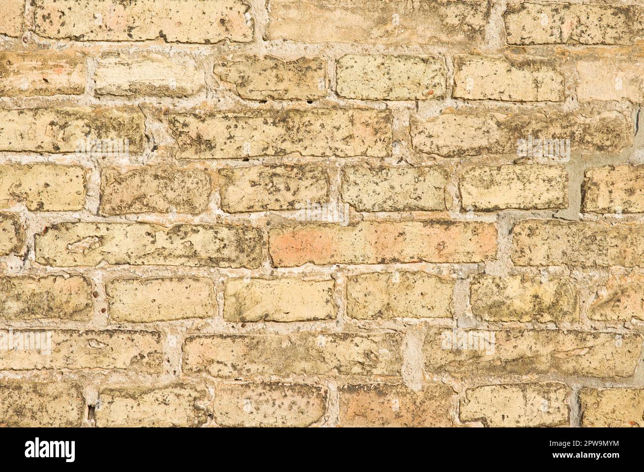 Hintergrund mit gelbem Steinmauermuster Stockfoto