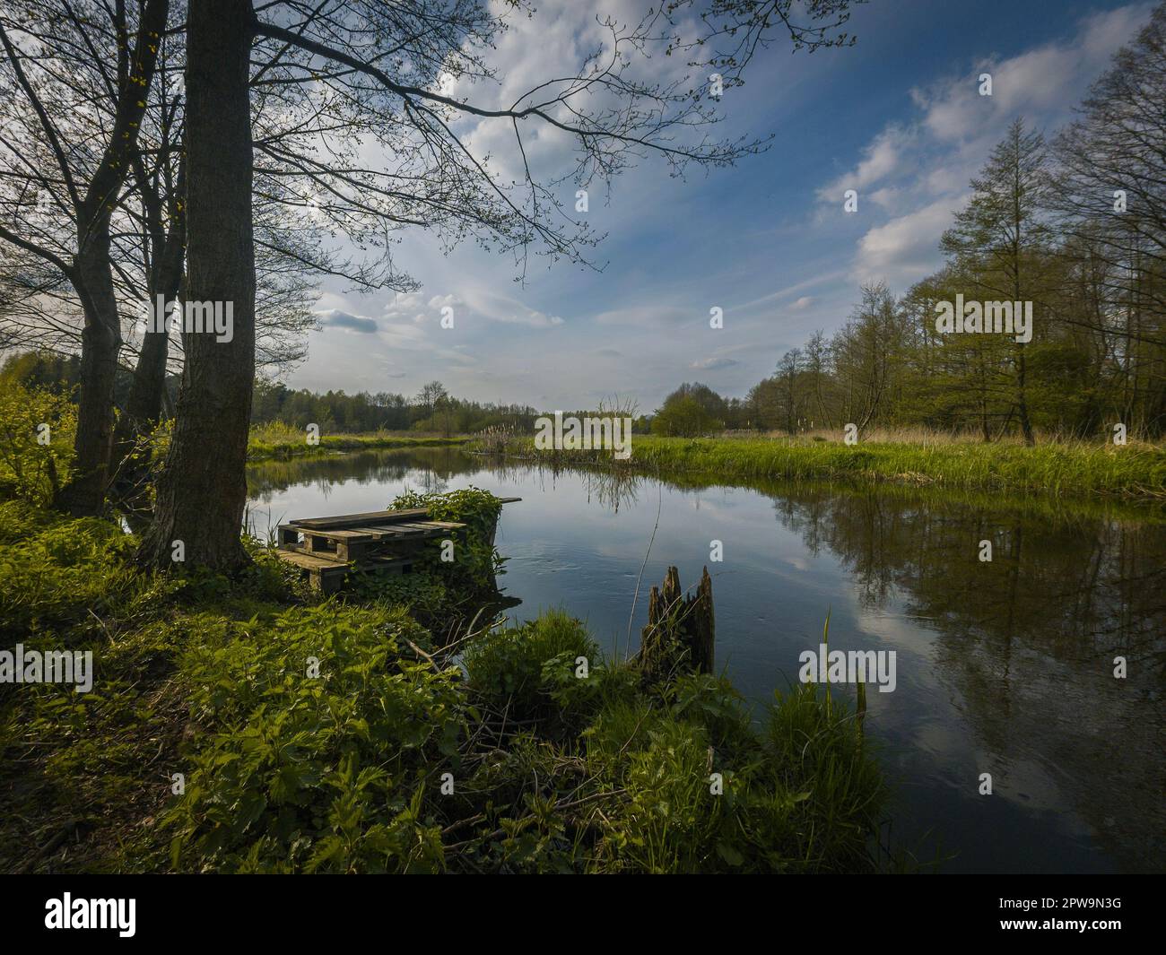 Frühling auf dem kleinen wilden Fluss Grabia in Mittelpolen. Stockfoto