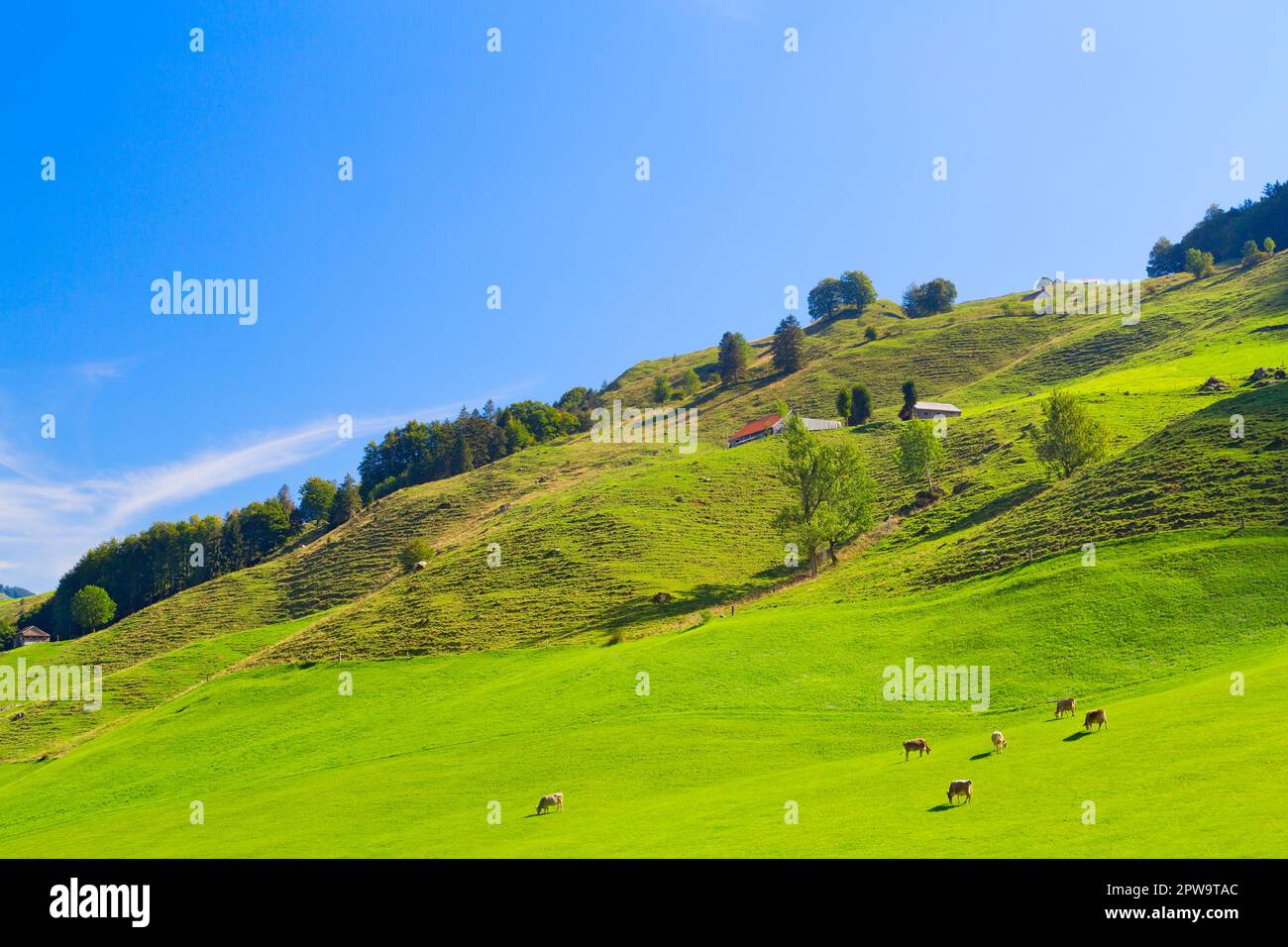Wunderschöne Aussicht auf Alpstein, Kanton Appenzell Innerrhoden, schweizer Alpen, Schweiz Stockfoto