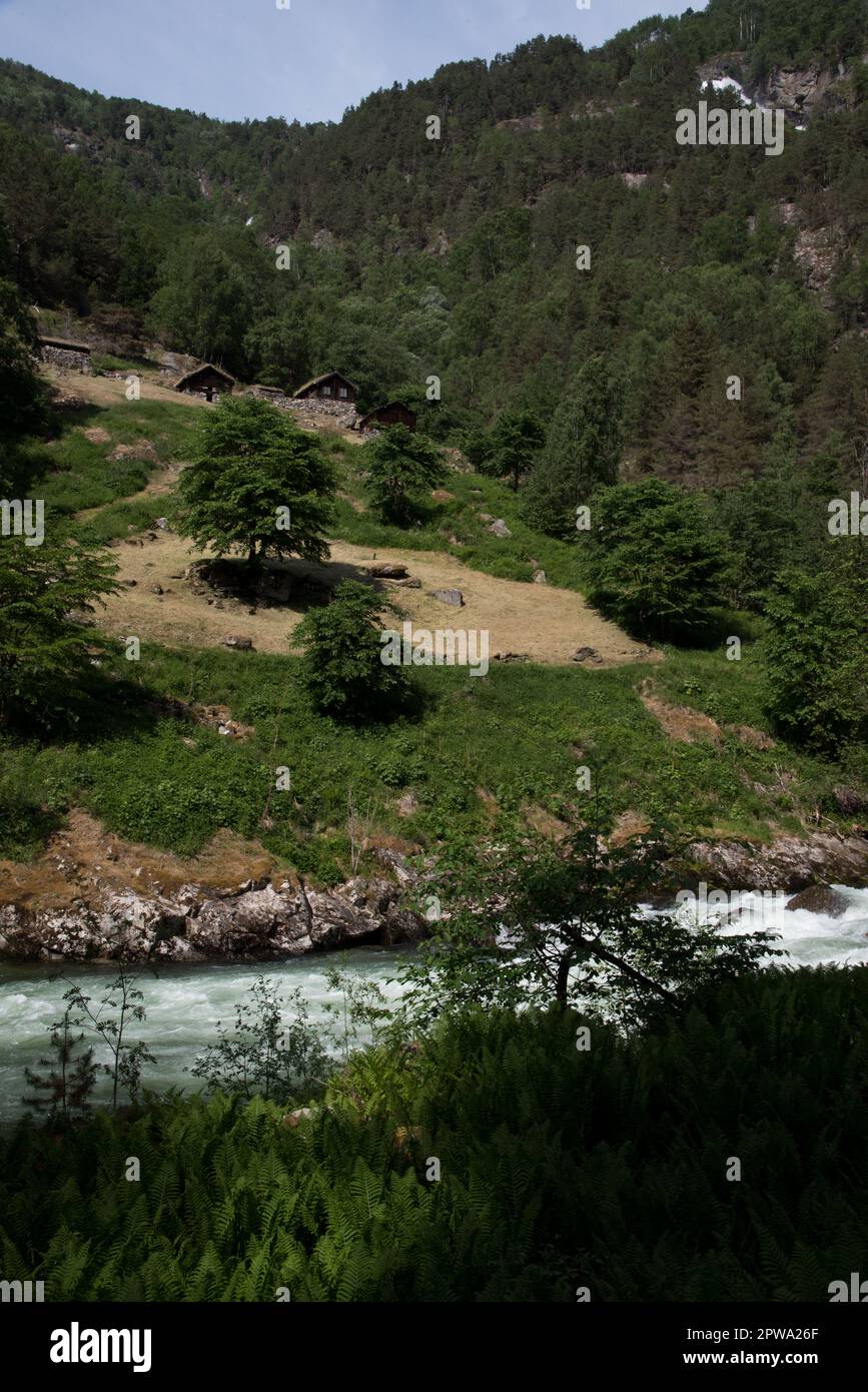 Galdane in der Nähe von Borgund in der Gemeinde Lærdal in Norwegen ist eine historische Bergfarm in einem bewaldeten Gebiet. Stockfoto