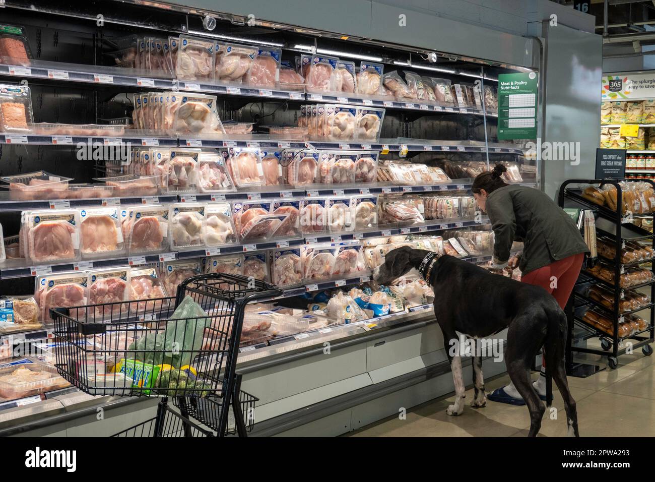 Whole Foods Market Nomad befindet sich an der 63 Madison Ave in New York City, USA 2023 Stockfoto