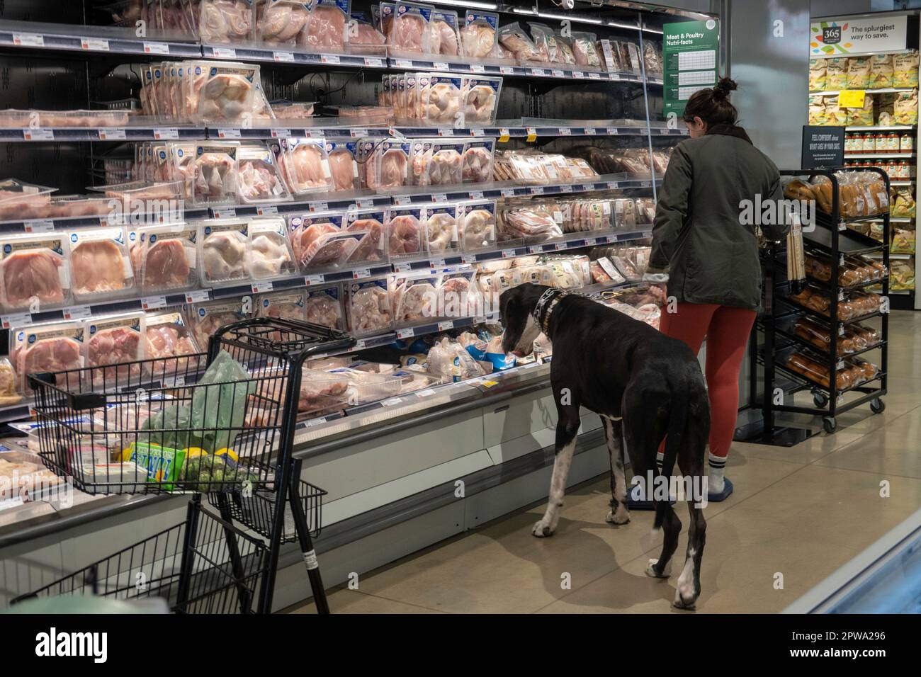 Whole Foods Market Nomad befindet sich an der 63 Madison Ave in New York City, USA 2023 Stockfoto