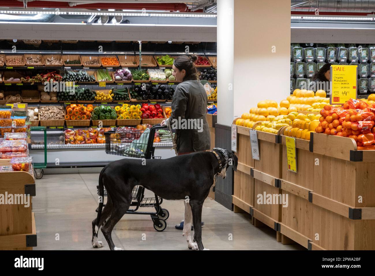 Whole Foods Market Nomad befindet sich an der 63 Madison Ave in New York City, USA 2023 Stockfoto