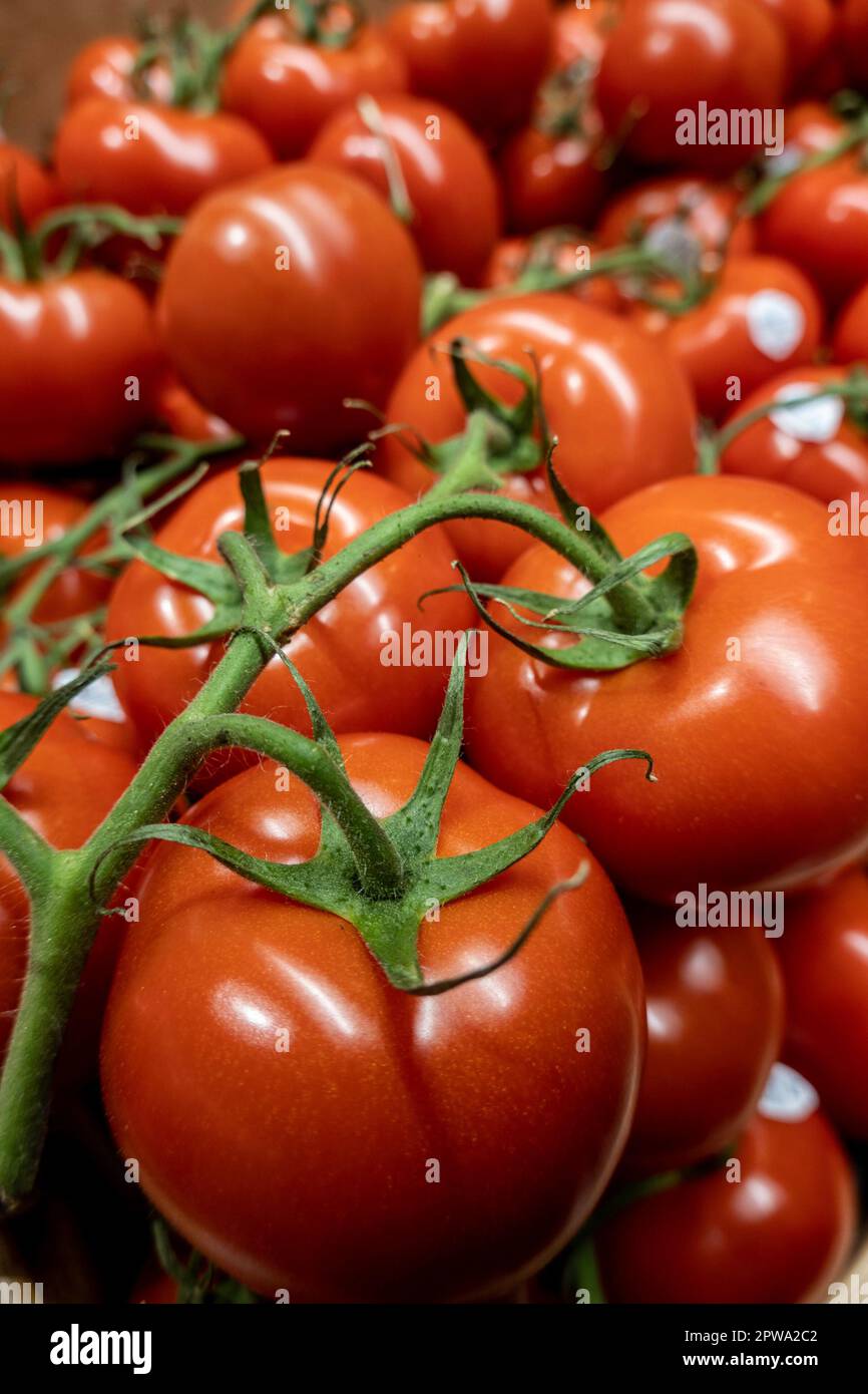 Whole Foods Market Nomad befindet sich an der 63 Madison Ave in New York City, USA 2023 Stockfoto