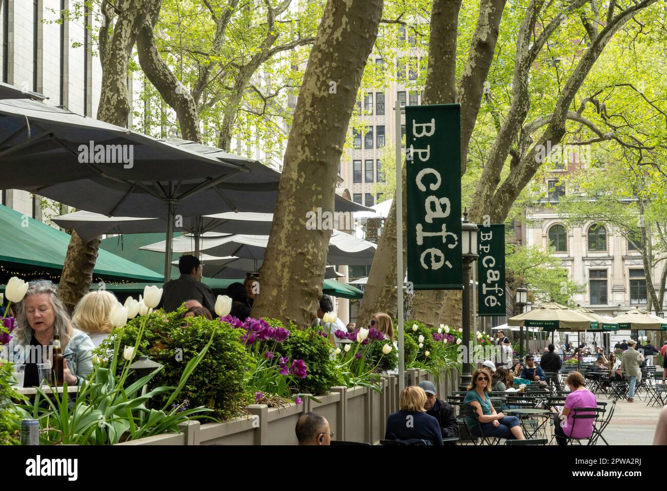 Bryant Park ist eine urbane Oase hinter dem Hauptgebäude der New York Public Library in Midtown Manhattan, 2023, Frühling, New York City, USA Stockfoto