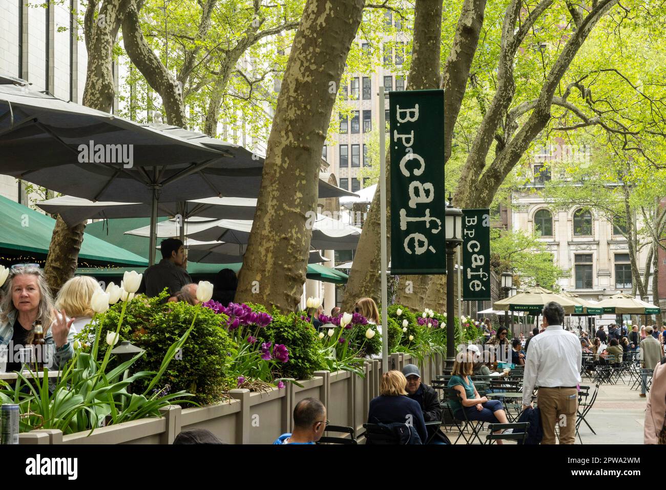 Bryant Park ist eine urbane Oase hinter dem Hauptgebäude der New York Public Library in Midtown Manhattan, 2023, Frühling, New York City, USA Stockfoto