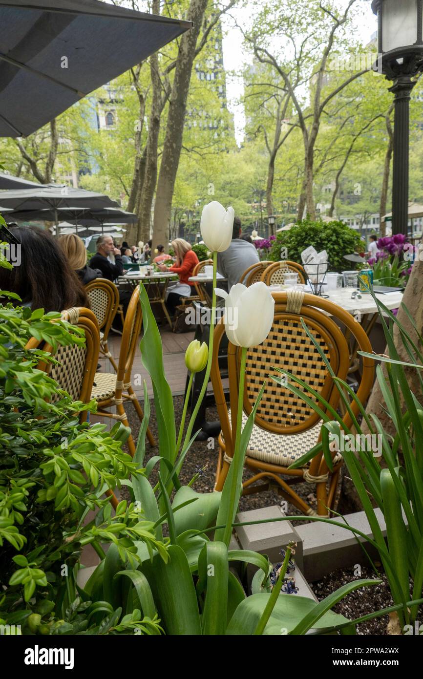 Bryant Park ist eine urbane Oase hinter dem Hauptgebäude der New York Public Library in Midtown Manhattan, 2023, Frühling, New York City, USA Stockfoto