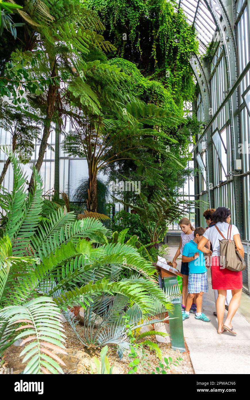 Paris, Frankreich, Touristenfamilie, Besuch des Gewächshauses des tropischen Gartens im Jardin des Plantes Stockfoto