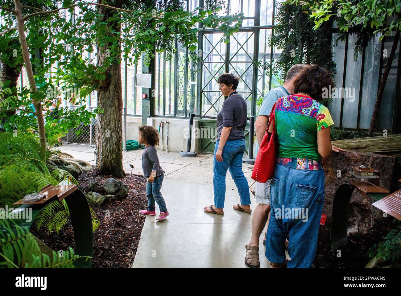 Paris, Frankreich, Gruppe Leute, Touristen Familie, Besuch im tropischen Garten Gewächshaus in 'Jardin des Plantes » Stockfoto