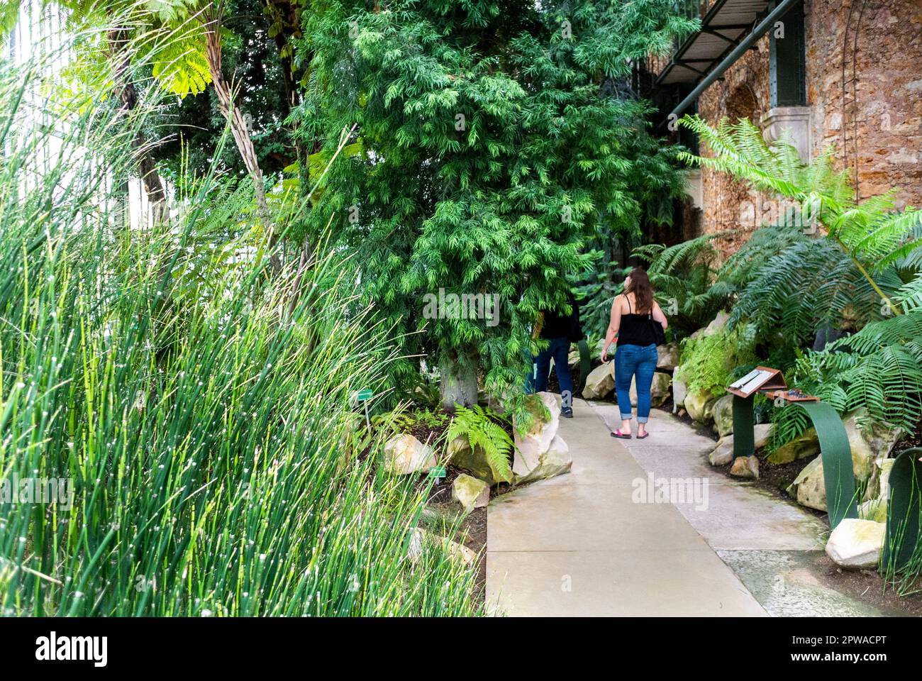 Paris, Frankreich, Touristenfamilie, Besuch des Gewächshauses des tropischen Gartens im Jardin des Plantes Stockfoto