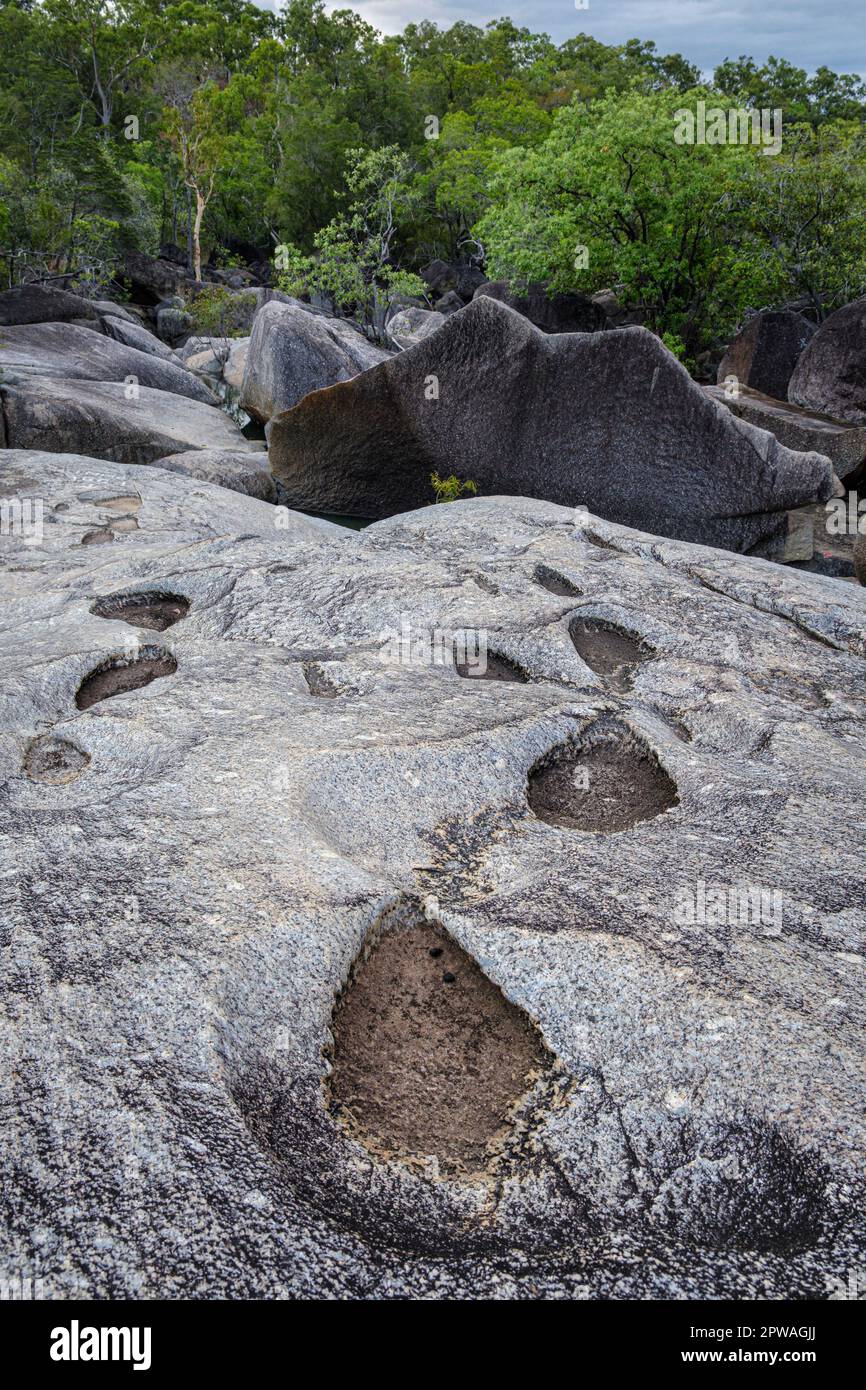 Fossilierte Dinosaurierspuren im Granite Gorge Nature Park, Mareeba, Queensland, Australien Stockfoto Fossilierte Dinosaurierspuren im Granite Gorge Nature Park, Mareeba, Queensland, Australien Stockfoto