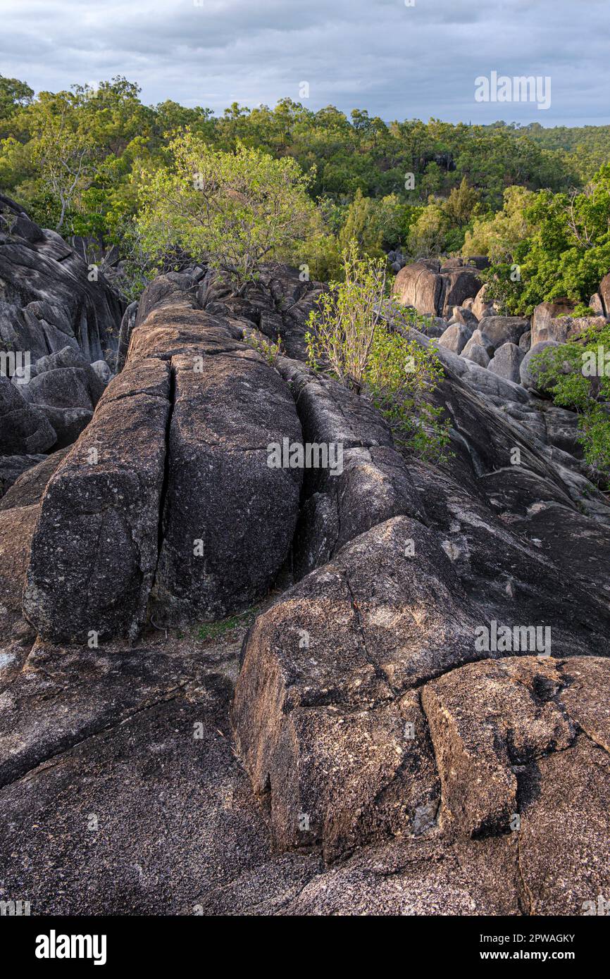 Granite Gorge Nature Park, Mareeba, Queensland, Australien Stockfoto