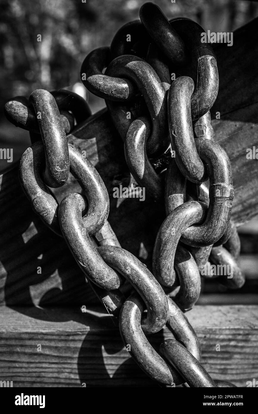 Große Metallkette, die um ein Holztor gewickelt ist. Konzeptstärke, Sicherheit, gebunden, verpackt, sicher, Eingesperrt, angekettet Stockfoto