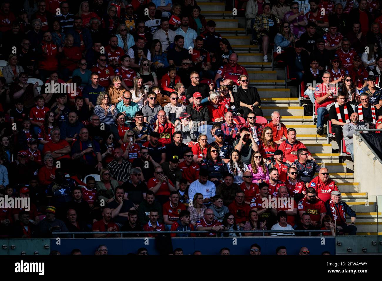 Scarlets-Fans genießen die Sonne während des Halbfinalspiels des European Challenge Cup Llanelli Scarlets vs Glasgow Warriors im Parc y Scarlets, Llanelli, Großbritannien, 29. April 2023 (Foto von Craig Thomas/News Images) Stockfoto