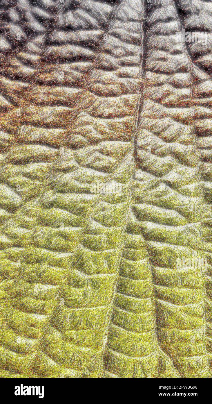 Textur oder Hintergrund ähnlich Krokodilhaut in Grün und Braun. Illustration Stockfoto