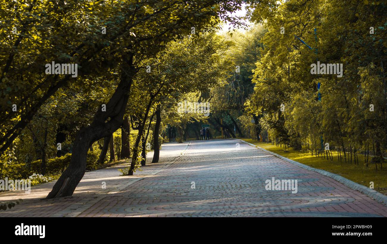 Wunderschöne Landschaft auf dem Parkweg Stockfoto