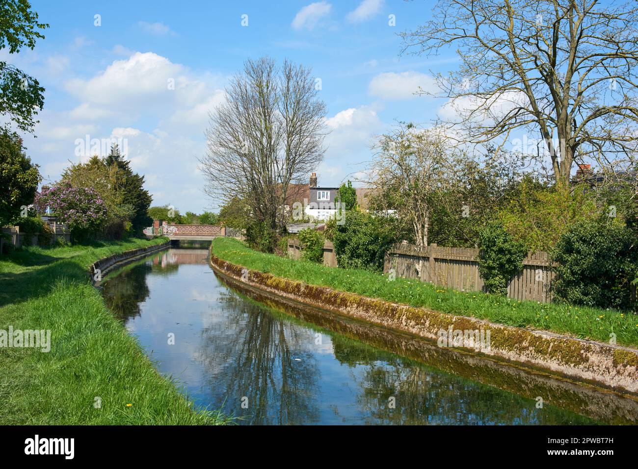 Der New River in der Nähe von Winchmore Hill, North London, Großbritannien, im Frühling Stockfoto