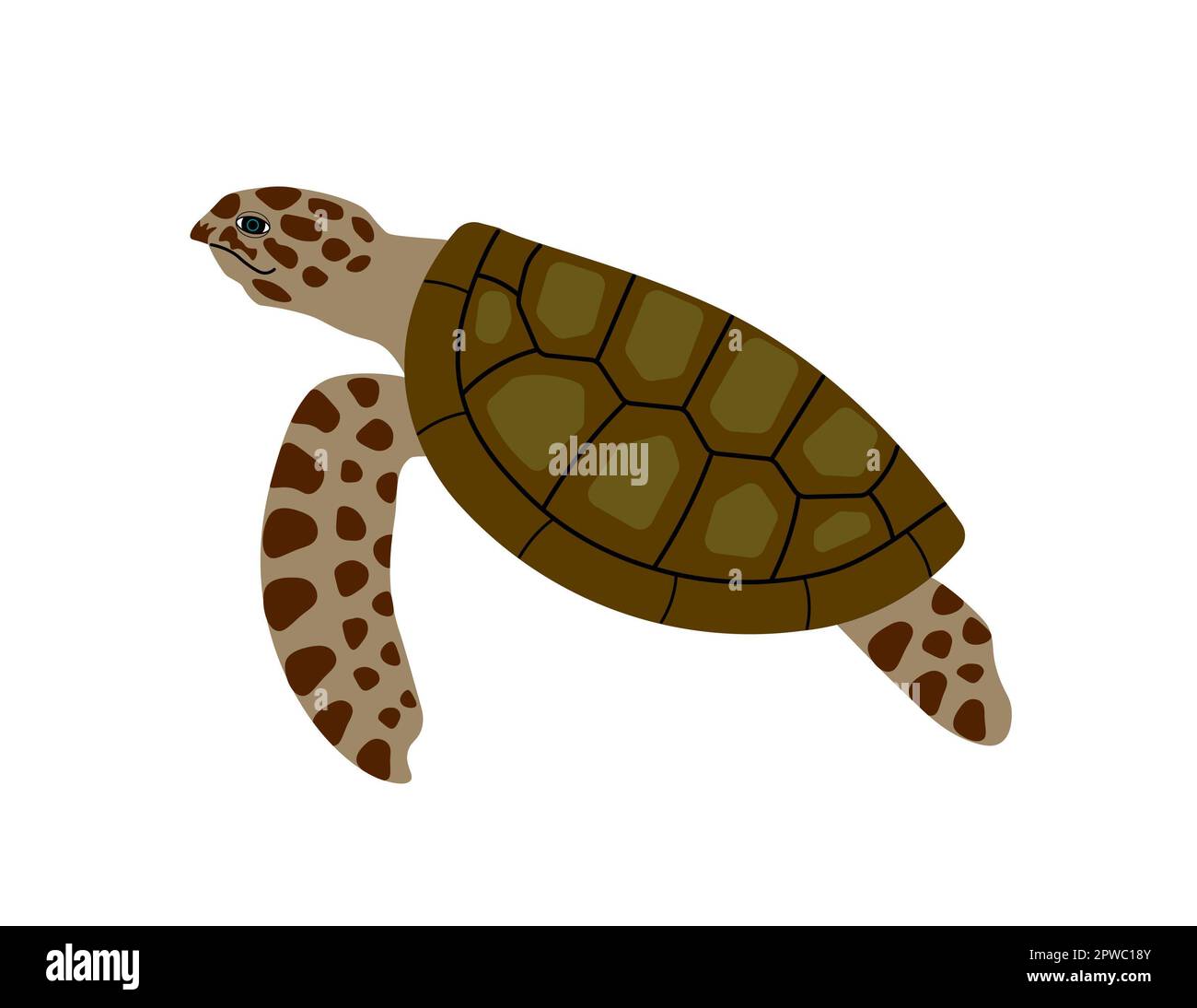Meeresschildkröten schwimmen isoliert auf weißem Hintergrund. Wildtier- und Naturschutzkonzept. Abbildung, Clipart. Stockfoto