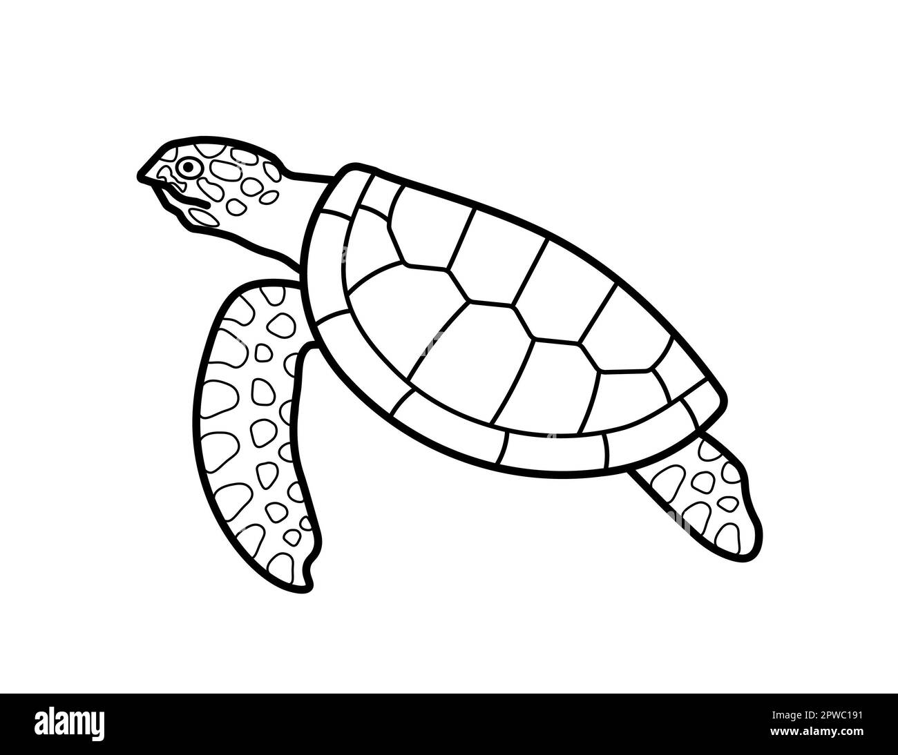 Meeresschildkröten schwimmen isoliert auf weißem Hintergrund. Wildtier- und Naturschutzkonzept. Abbildung Schwarzweißzeichnung. Stockfoto