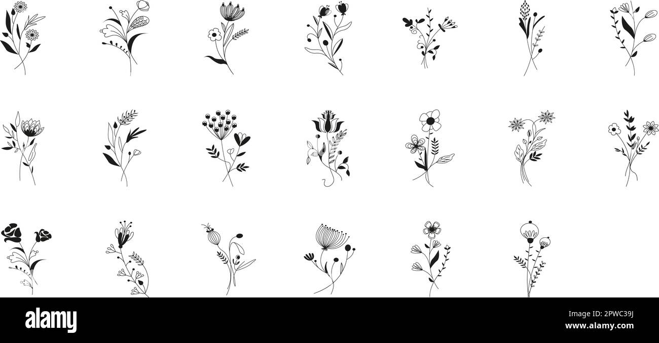 Botanischer Vintage-Vintage-Vintage-Vektor mit Blumenmuster. Dekorative Einladung zur Illustration, Grußkarte, Tapete, Hochzeitseinladung, Termin notieren. Rustikales Set im Vintage-Stil Stock Vektor