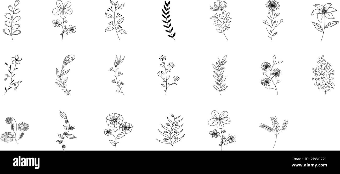 Traditionelle handgezeichnete Blumen. Schwarze Kritzelelemente, Gras, Blätter, Blumen. Bereit für Einladung, Grußkarte, Tapete, Hochzeitseinladung, Termin speichern. Ein klassischer botanischer Randsatz. Stock Vektor