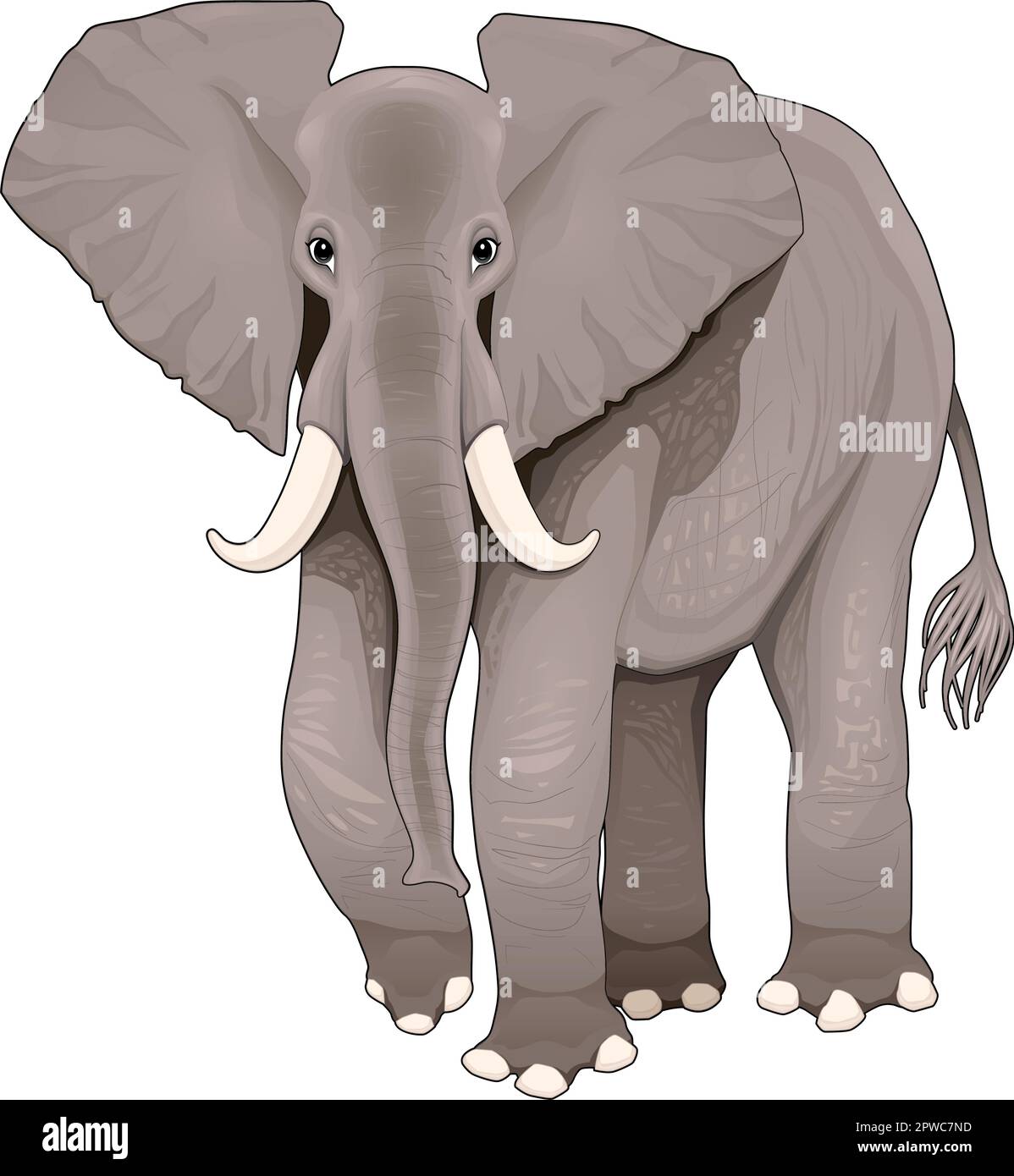 Ein Elefant. Vektordarstellung, isoliertes Element. Stock Vektor