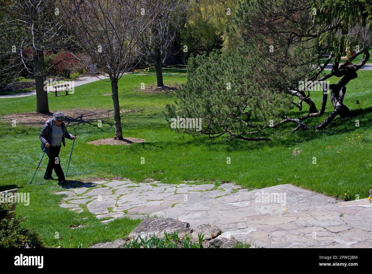 Toronto, Ontario/Kanada - 27. April 2023: Aktive Seniorin, die mit den Wanderstöcken im Park spaziert Stockfoto