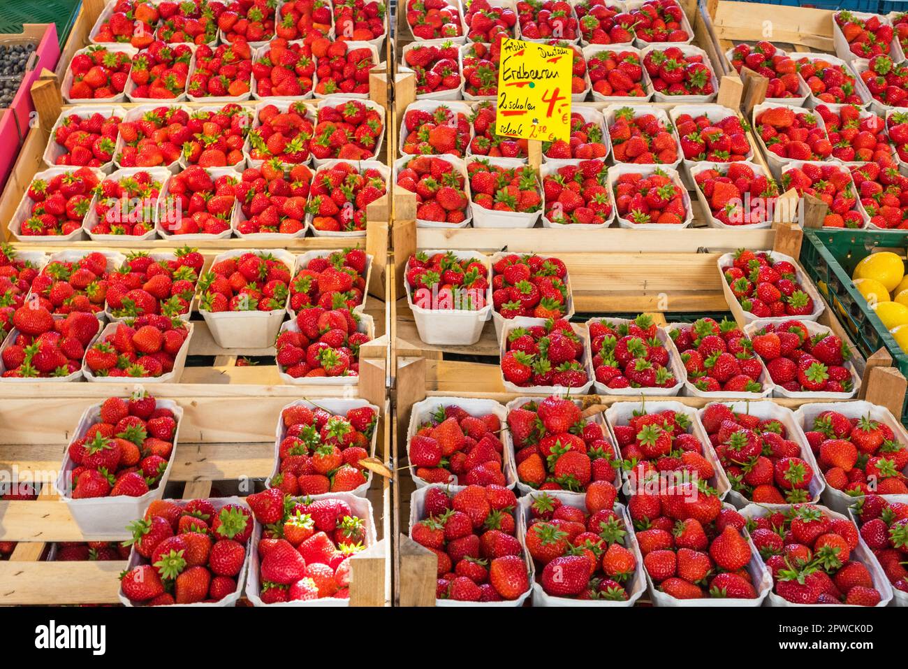 Viele frische Erdbeeren zum Verkauf auf einem Markt Stockfoto