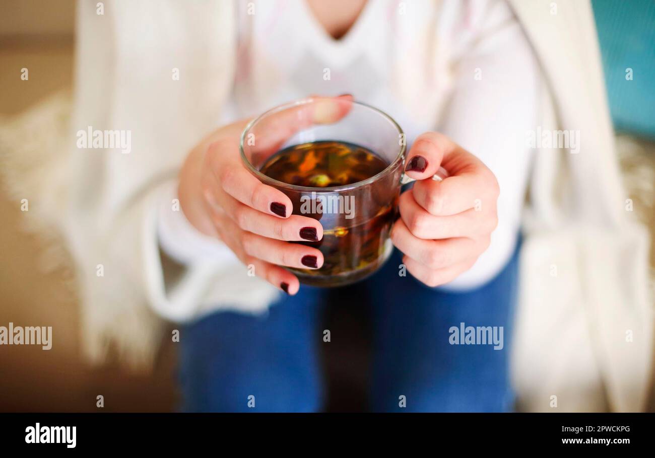 High Winkel der Ernte anonyme Frau in lässigem Outfit hält Glas Tasse mit aromatischen Kräutertee beim Entspannen zu Hause Stockfoto