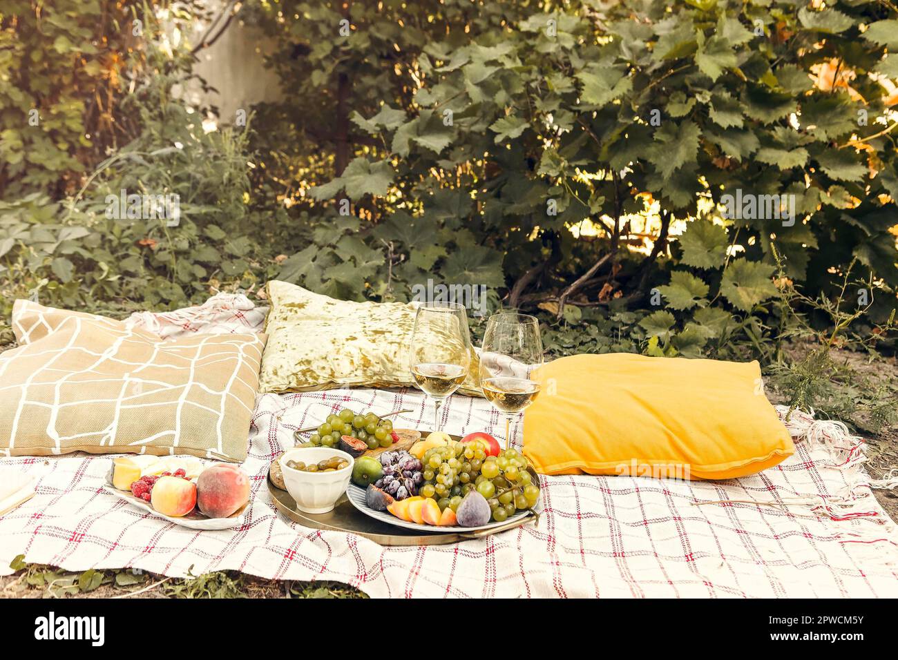 Paar Gläser mit Wein in der Nähe von Tischen mit verschiedenen platziert Frische reife Früchte auf Decke mit Kissen während des romantischen Picknicks Im Garten Stockfoto