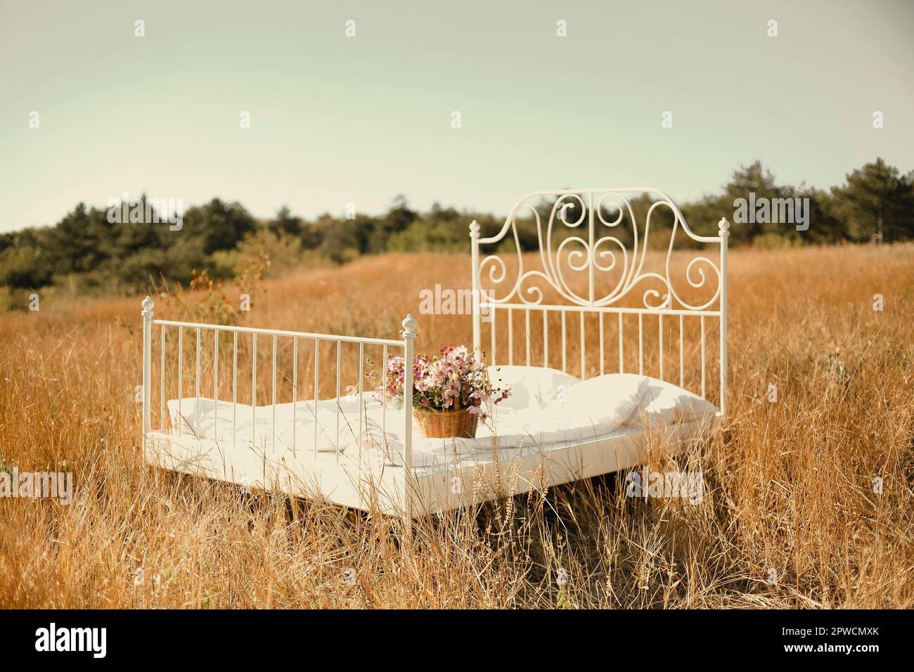 Fotoshooting in der Natur, schmiedeeiserne Bettwäsche mit weißer Bettwäsche in der Mitte mit einem Korb mit Wildblumen auf einem sonnigen Sommerfeld am Morgen mit Trockenheit Stockfoto