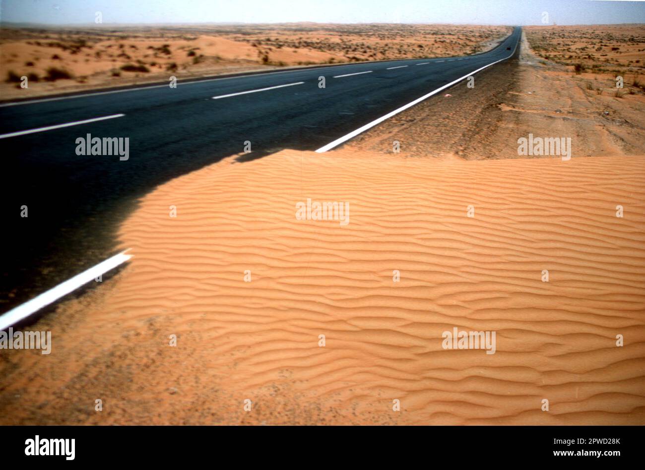 Sandeinbruch auf einer Bitumen-Straße in Abu Dhabi, Vereinigte Arabische Emirate Stockfoto