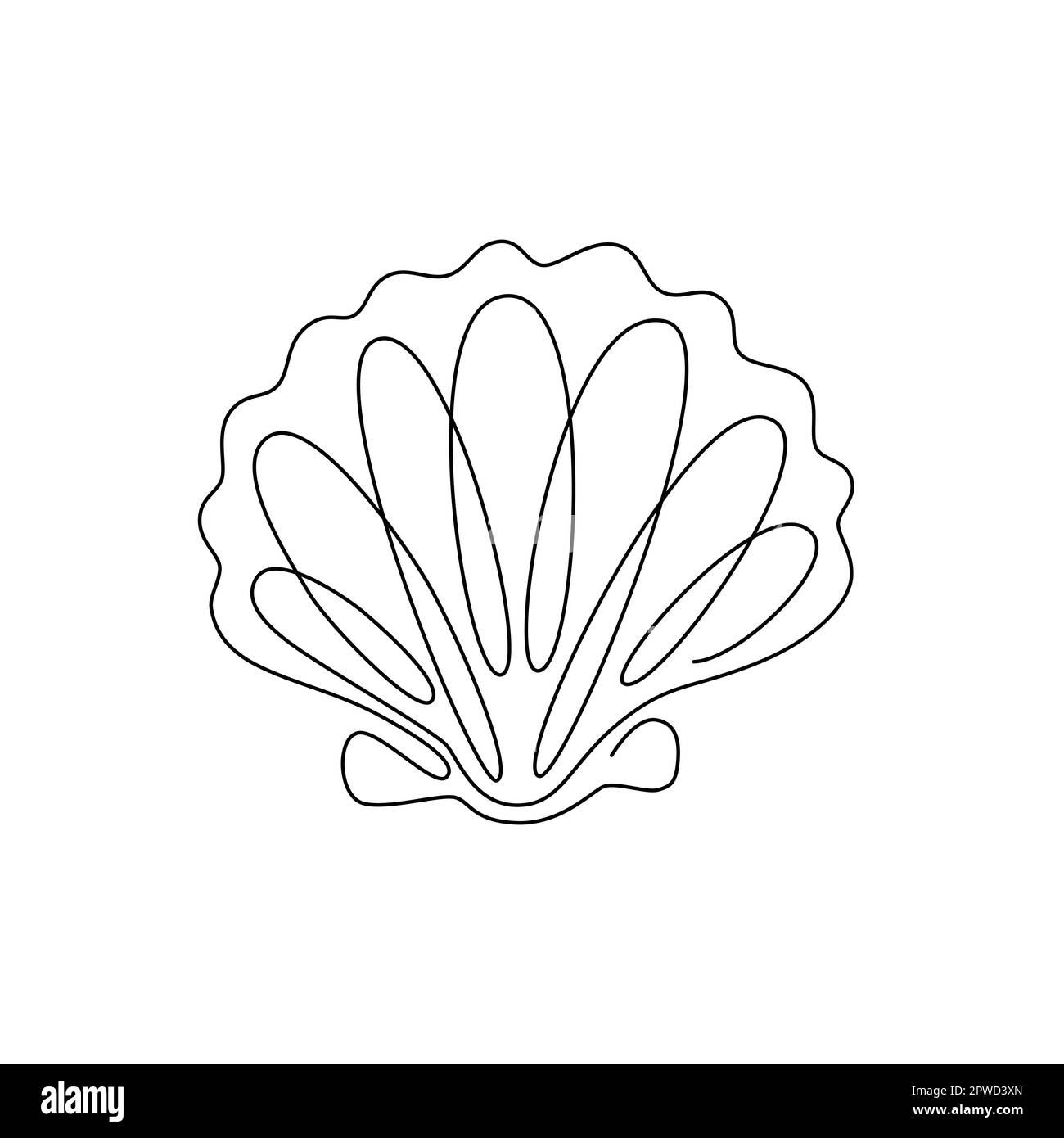 SHELL-LINIEN-GRAFIKEN. Vektormuschel. Vektor zum Zeichnen von ...