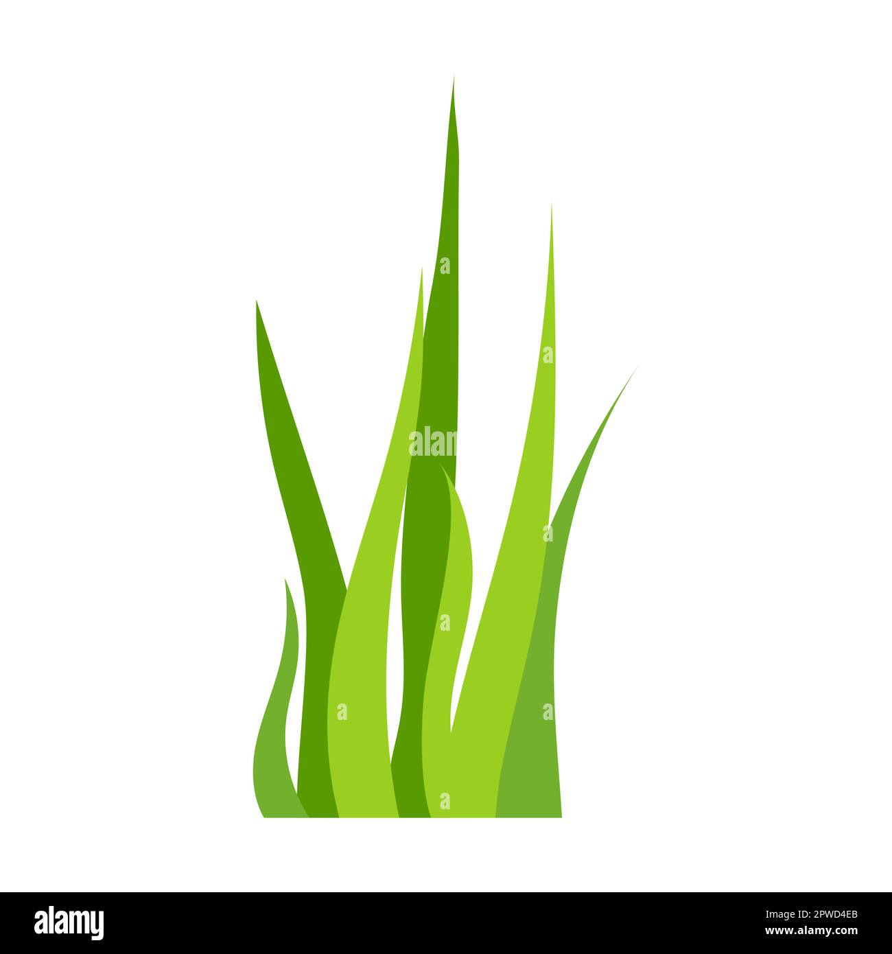 Grünes, neues Grasmuster. Vektordarstellung von Pflanzen. Blumige Ränder isoliert auf weiß. Naturumgebung Stock Vektor