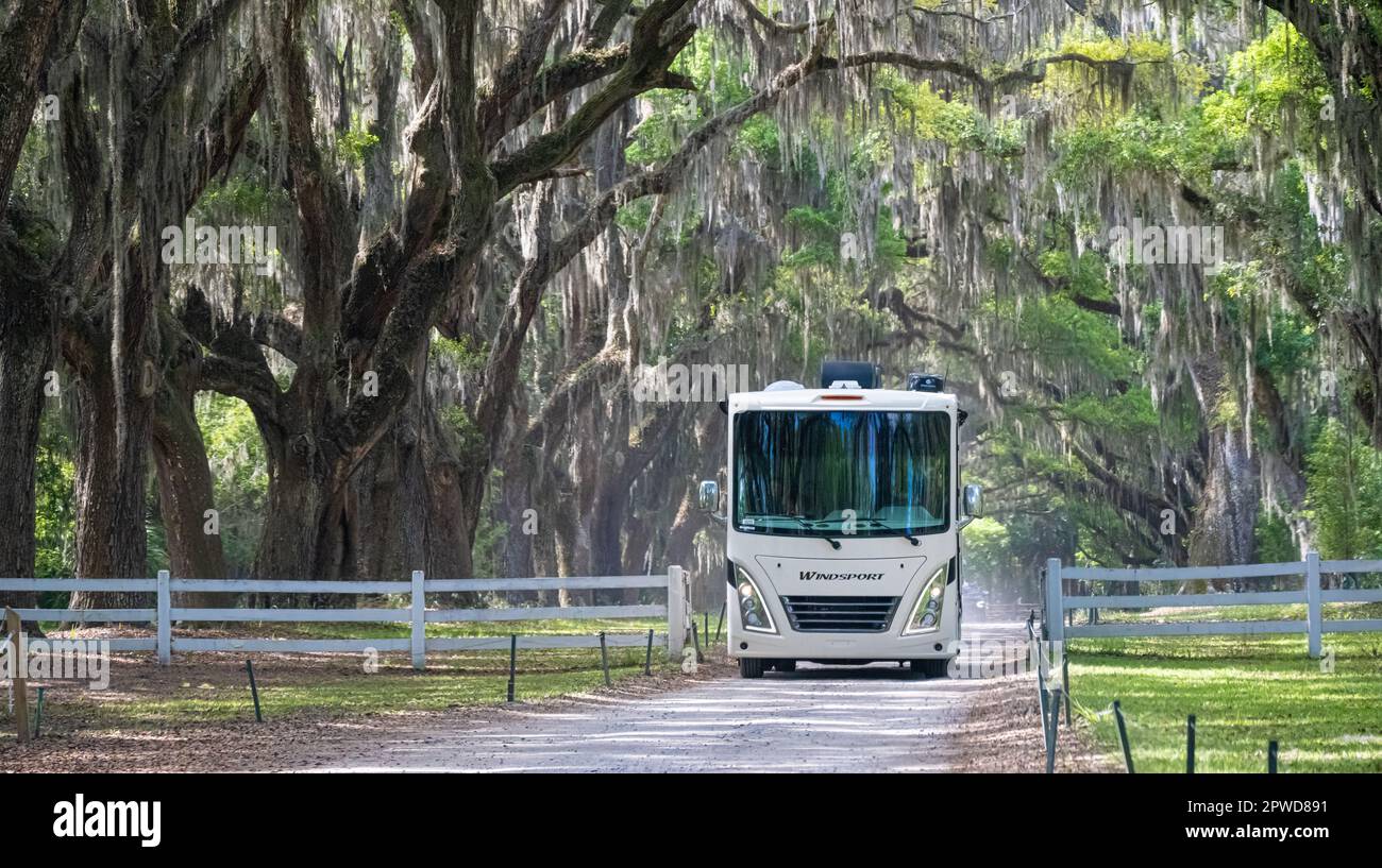 Wohnmobil auf einer von Bäumen bedeckten Straße aus alten Eichen und spanischem Moos in der Wormsloe Historic Site in Savannah, Georgia. (USA) Stockfoto