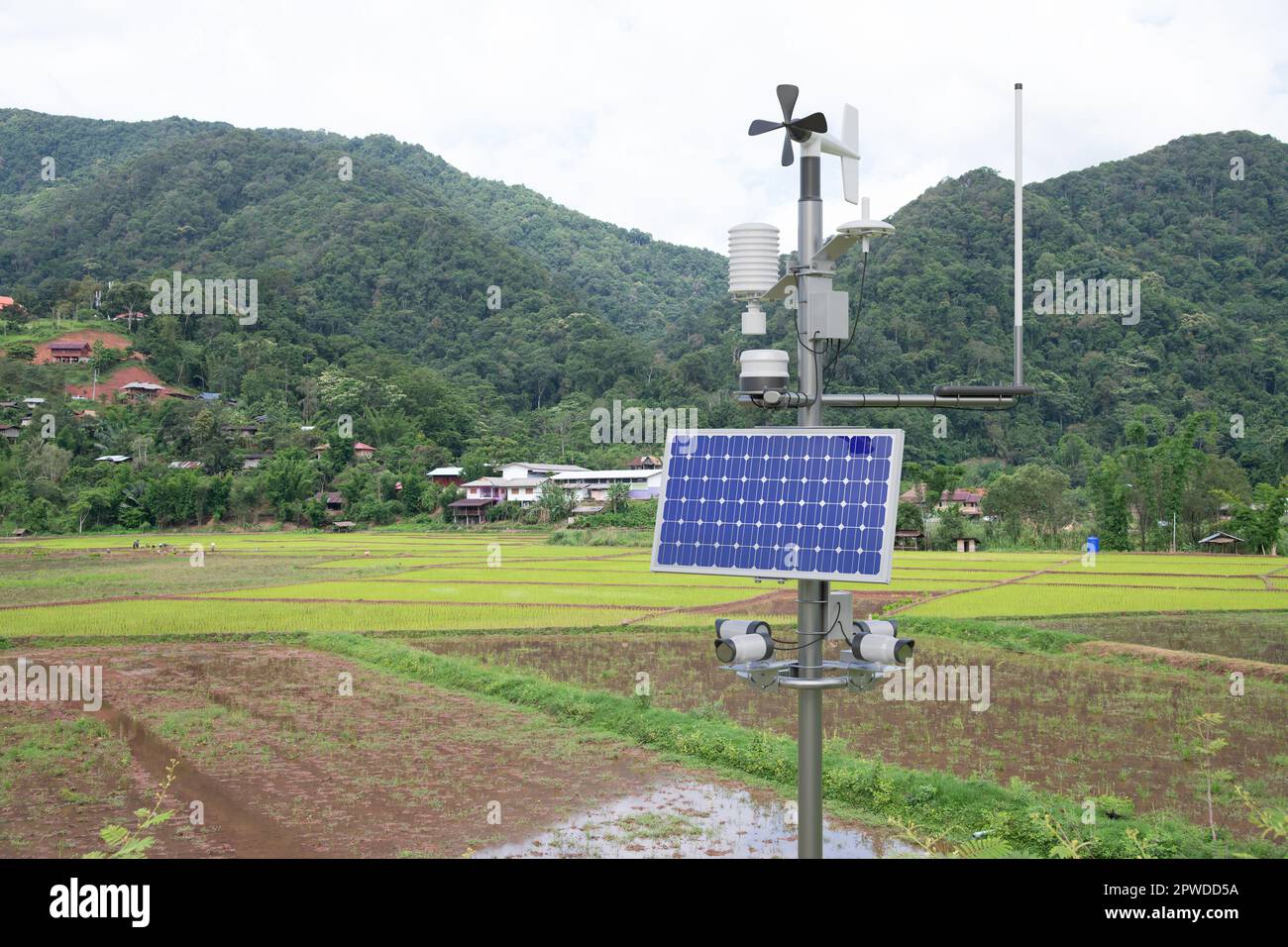 Wetterstation im Reisfeld, 5G-Technologie mit intelligentem Landwirtschaftskonzept Stockfoto