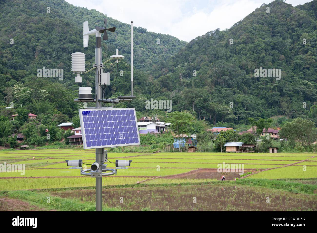 Wetterstation im Reisfeld, 5G-Technologie mit intelligentem Landwirtschaftskonzept Stockfoto