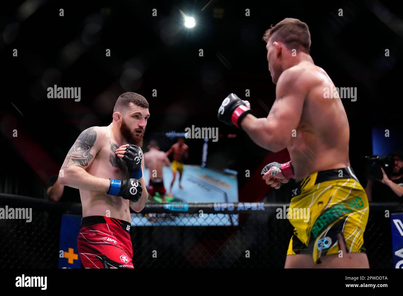 LAS VEGAS, NV - 29. April: (R-L) Caio Borralho und Michal Oleksiejczuk in einem Mittelgewichtskampf am UFC Apex für UFC Fight Night - Song gegen Simon am 29. April 2023 in Las Vegas, NV, USA. (Foto: Louis Grasse/PxImages) Stockfoto