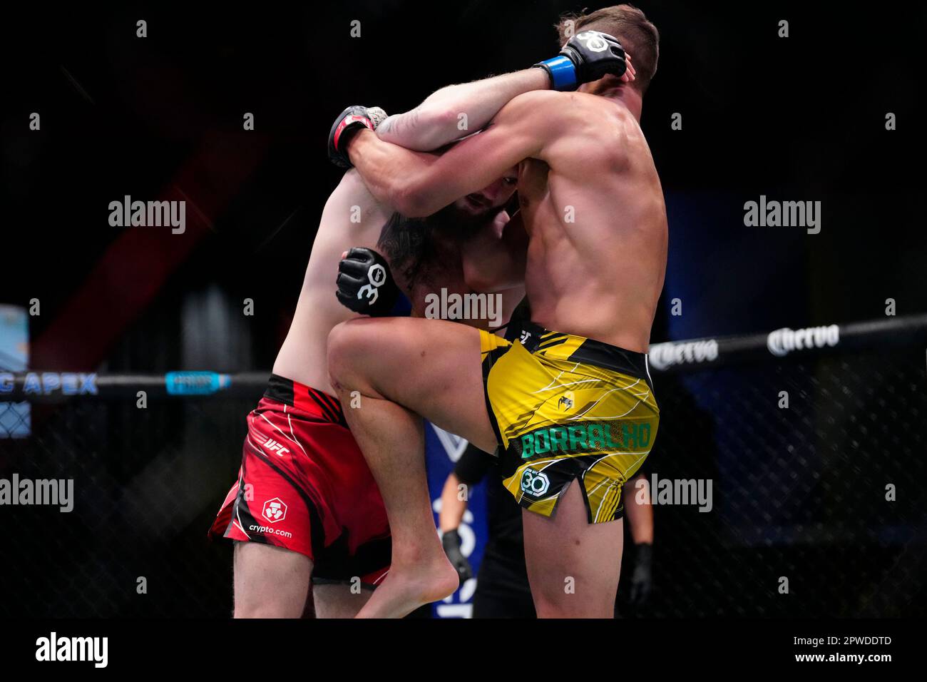 LAS VEGAS, NV - 29. April: (R-L) Caio Borralho und Michal Oleksiejczuk in einem Mittelgewichtskampf am UFC Apex für UFC Fight Night - Song gegen Simon am 29. April 2023 in Las Vegas, NV, USA. (Foto: Louis Grasse/PxImages) Stockfoto