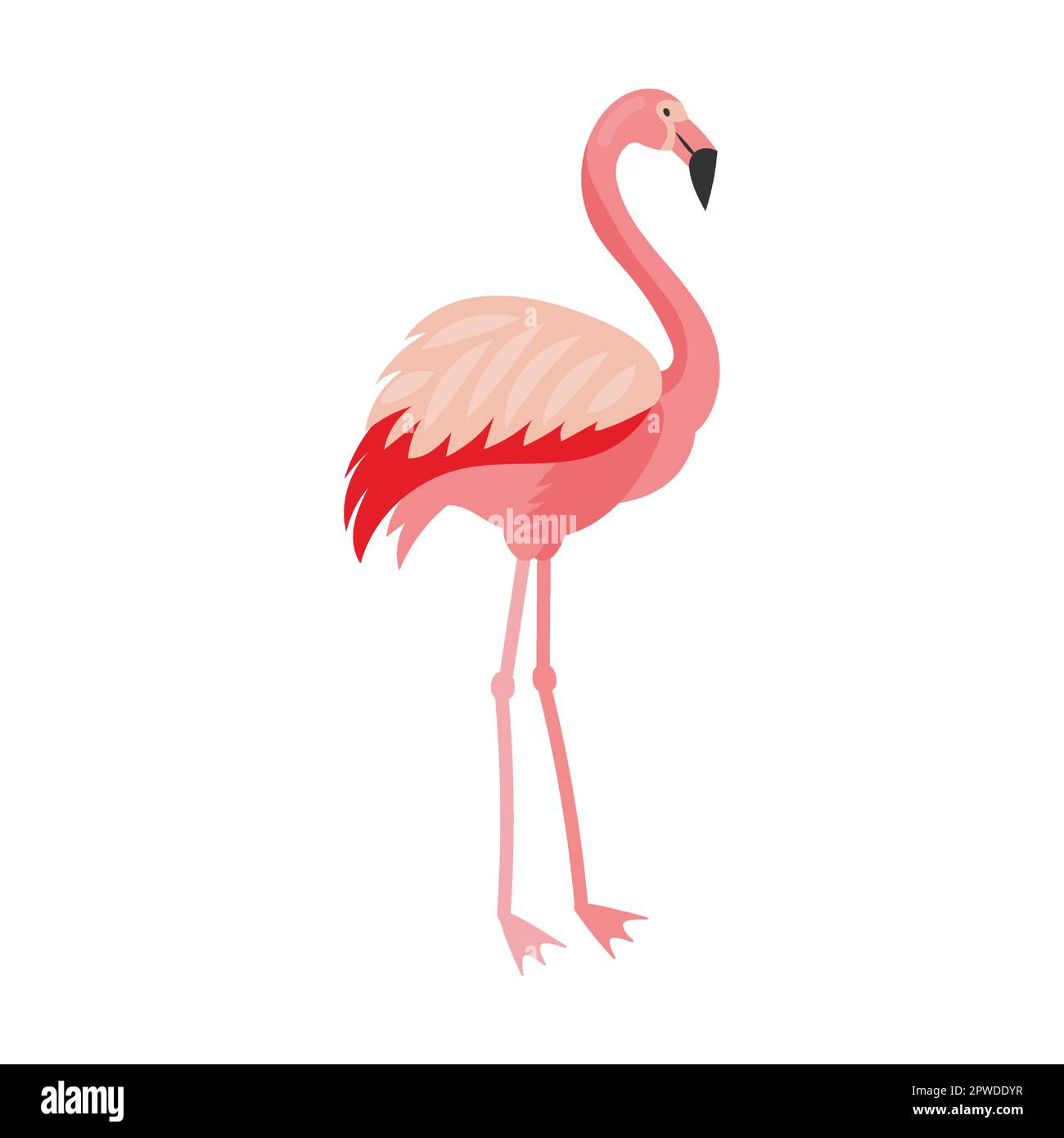 Flamingo-Vögel stehen und schauen nach vorne, Cartoon-Vektordarstellung. Rosa Vogel fliegt, steht, isst, zeigt Liebe. Urlaub, Wildtiere Stock Vektor
