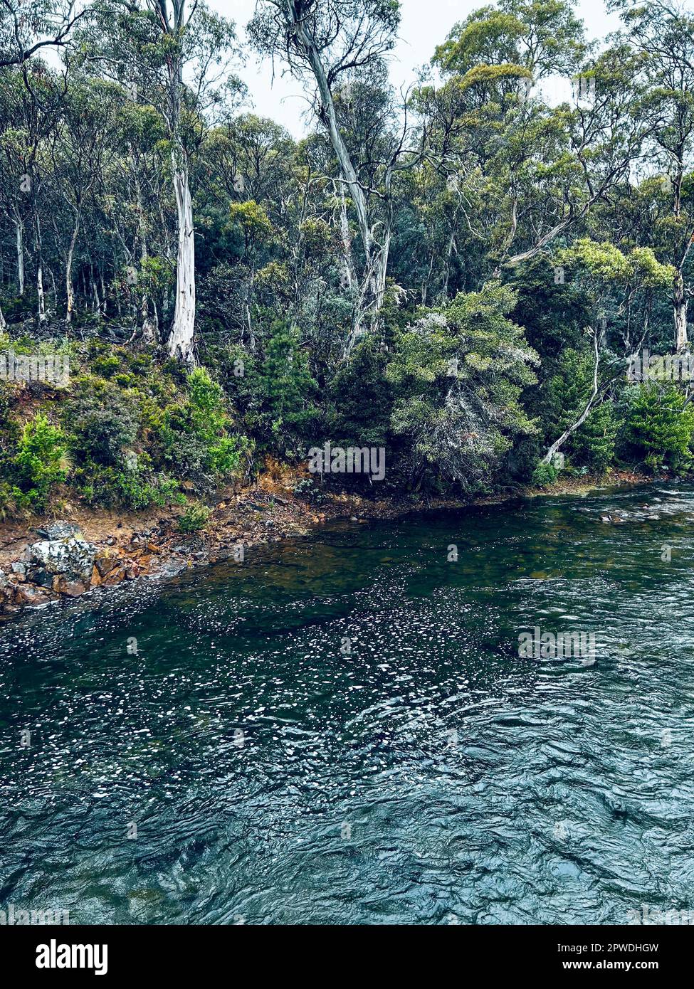 Der abgelegene Nive River in Tasmanien Stockfoto