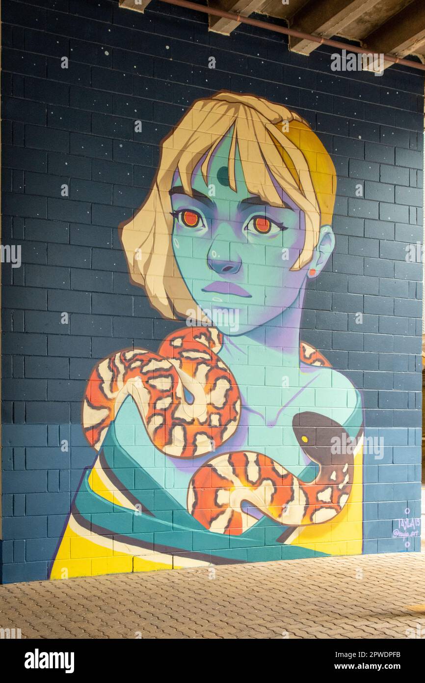 Girl and Snake Street Art von Tayla Broekman, Darwin, NT, Australien Stockfoto